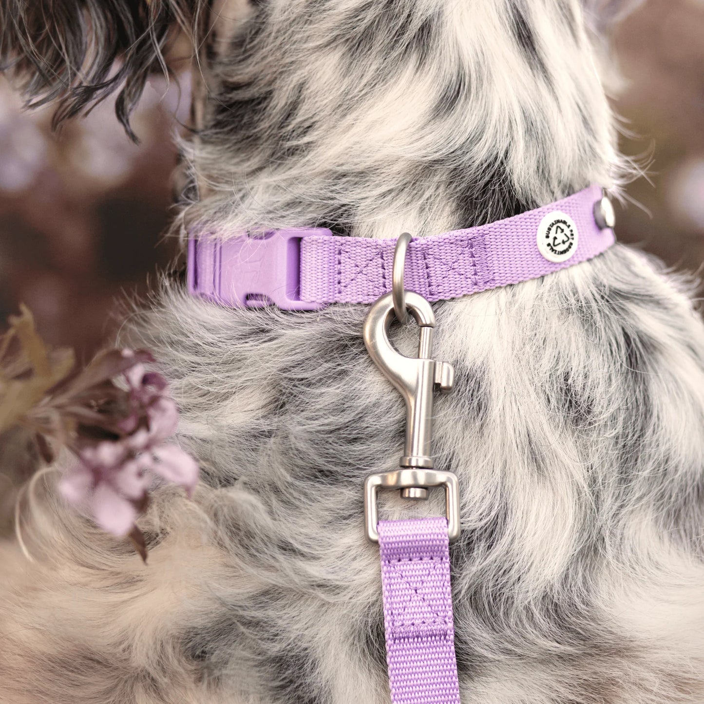 Collier pour chien en tissu