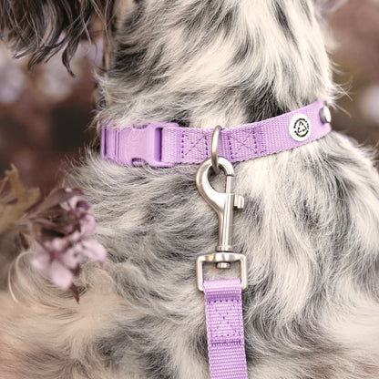 Collier pour chien en tissu