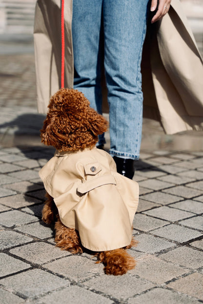 Trench imperméable pour chien