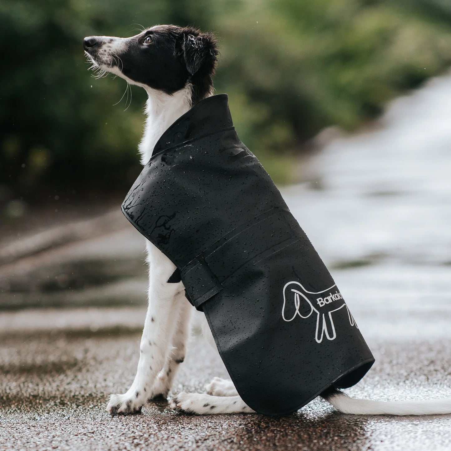 Imperméable pour chien