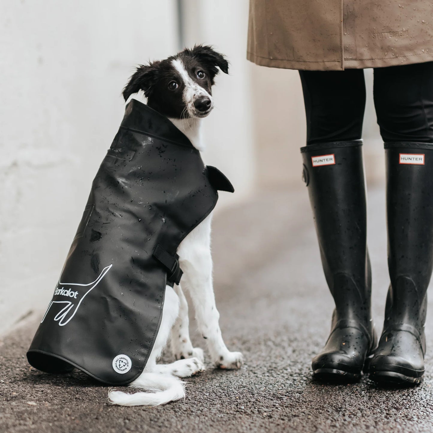 Imperméable pour chien