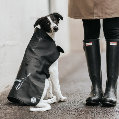 Imperméable pour chien