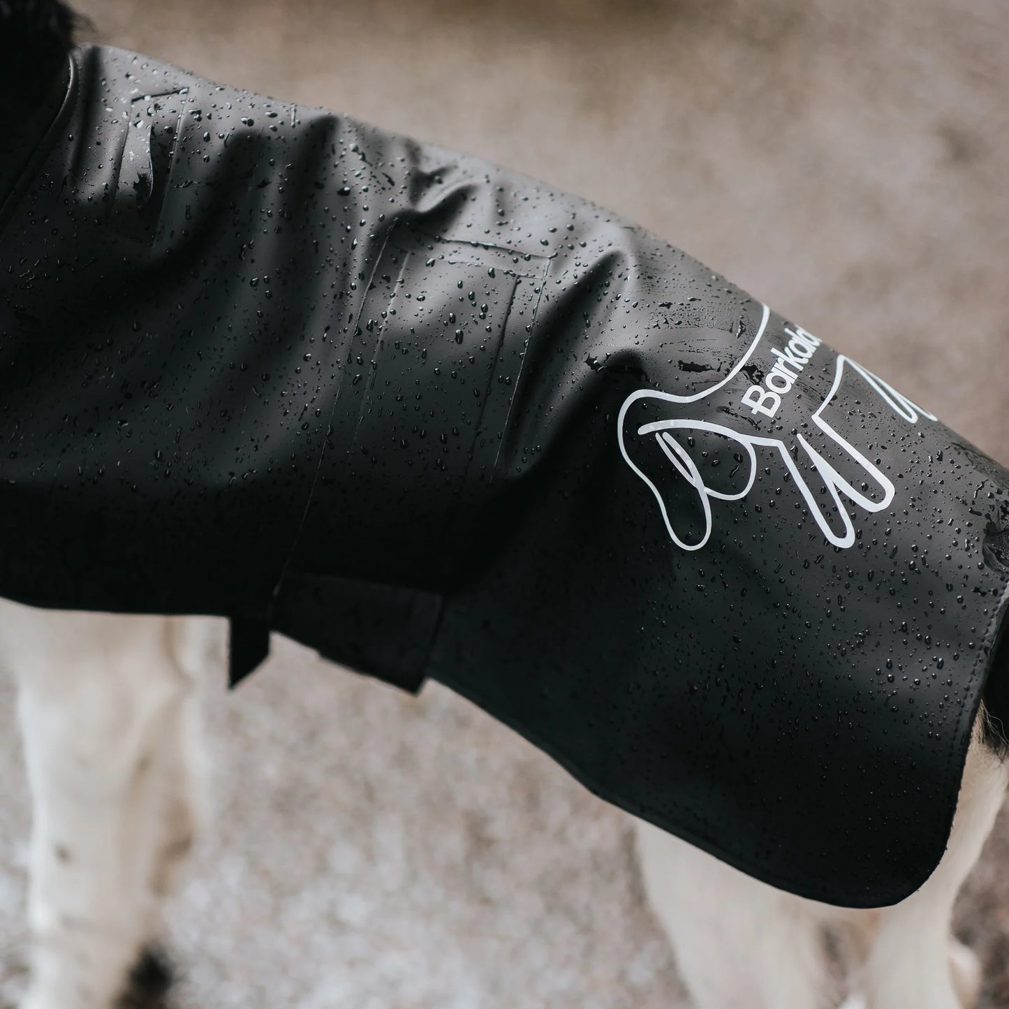 Imperméable pour chien