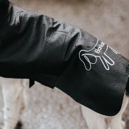 Imperméable pour chien
