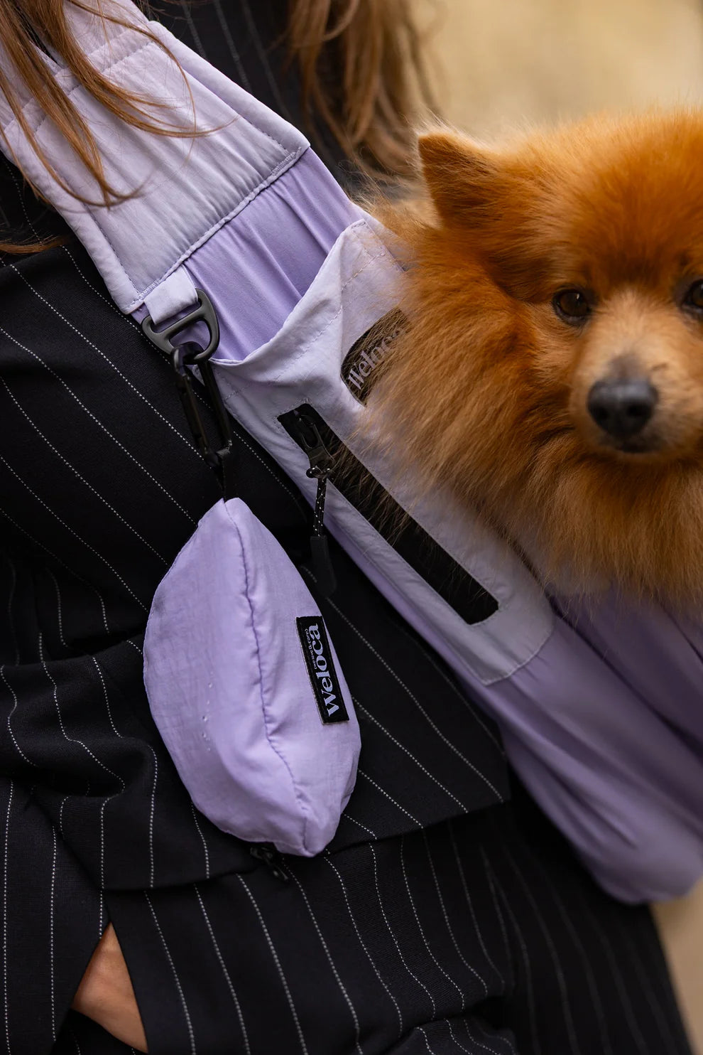 Sac transport chien