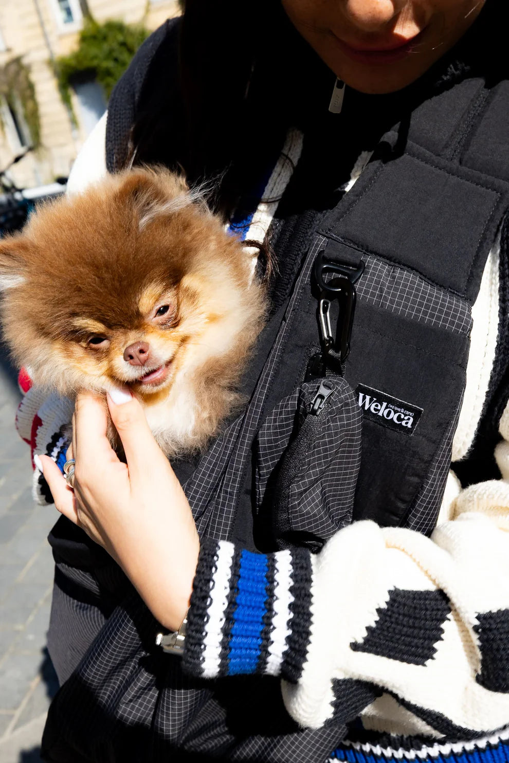 Sac transport chien