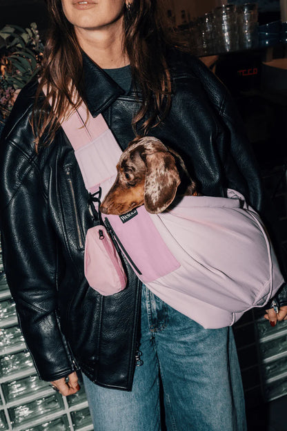 Sac transport chien