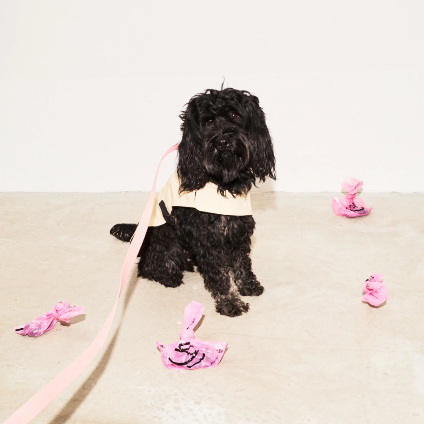 Imperméable pour chien