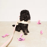 Imperméable pour chien
