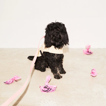 Imperméable pour chien