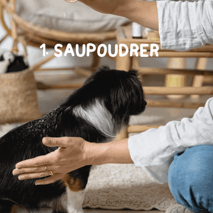 Shampoing sec et naturel certifié bio