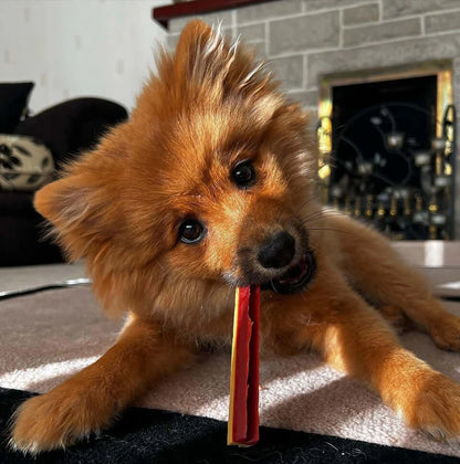 Sticks dentaires vegan